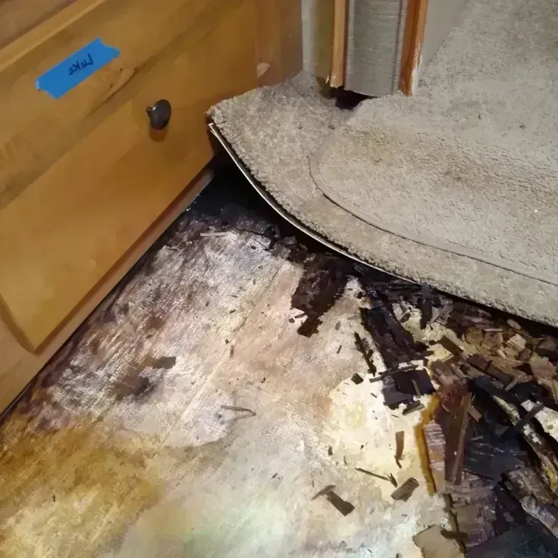 Best Wood Floor Water Damage Service in Southgate, MI